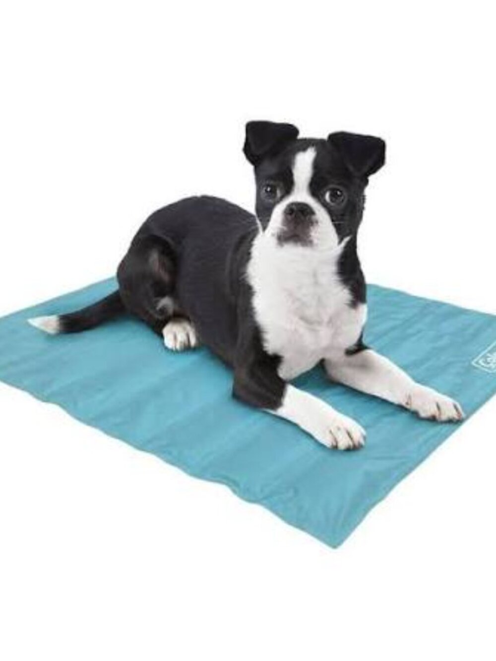 New Coleman Cooling Mat for Pets